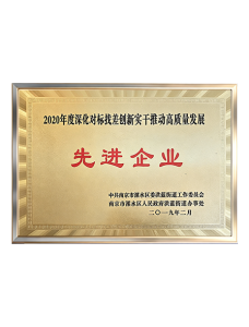 2020先进.png
